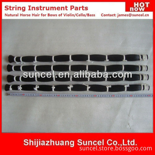 Black Horsetail Hair